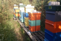 20180527_174248